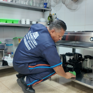 Servicio integral-cocina